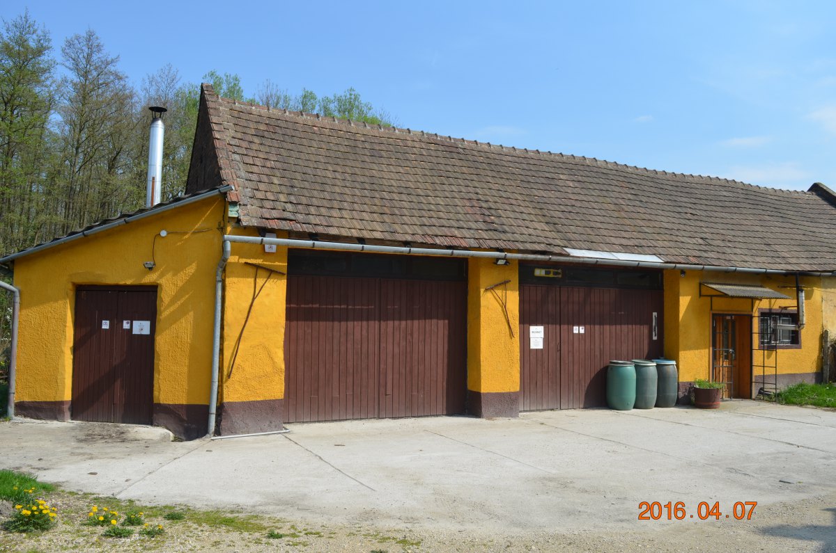 Picture3